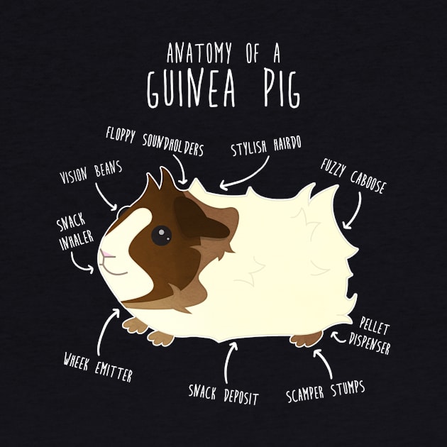 Abyssinian Guinea Pig Anatomy by Psitta